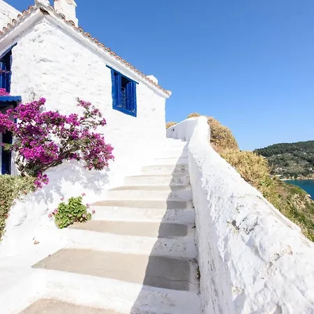 Nefeli Villea Seaview Apartment Σκόπελος